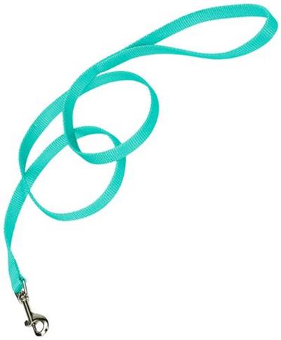 COASTAL Nylon Lead 6' x 5/8in Teal